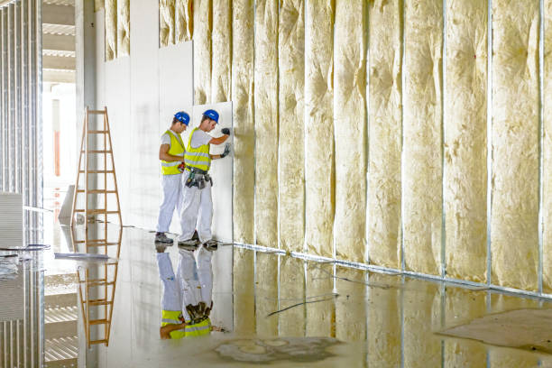 Best Insulation Maintenance and Repair in Bethel, AK